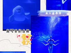 -正佳极地海洋世界