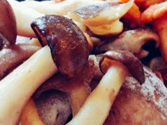 冷菌-野菌皇海景野生菌火锅(滨海大道店)