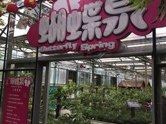 -南宫五洲植物乐园