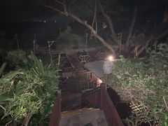 -卷心菜和避孕套餐厅(Pattaya)