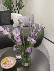 -JNK皮肤管理中心