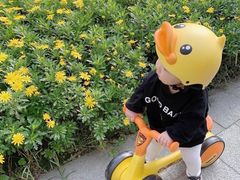 -星动计划儿童运动馆(闵行乐虹坊店)