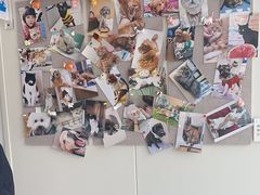 -芭比堂动物医院·CT·微创中心(新顺分院)