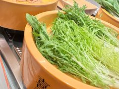 -喜味涮自助小火锅(广州东圃天河城店)