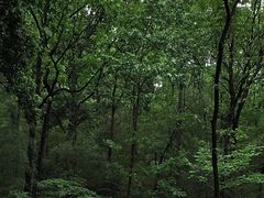 -灵隐飞来峰景区