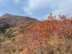 -周口店坡峰岭风景区