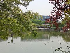 -嘉定紫藤园