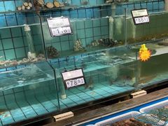 水产区-海岛渔村大酒店(云霄路店)