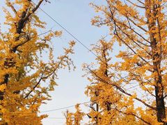 -两江幸福广场