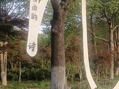 -青枫公园