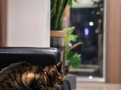 -PAUSE CAFE(南秀村店)