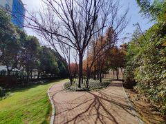 -沙澧河风景区