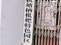 -塘栖枇杷特色园区