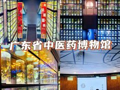 -广东中医药博物馆