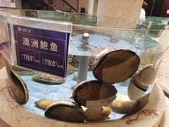-旺顺阁海鲜广场(亚运村店)