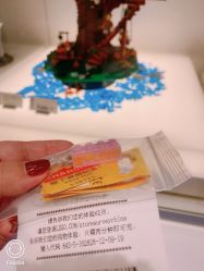 -乐高品牌旗舰店(人民广场店)