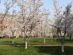 -浙江大学(海宁国际校区)