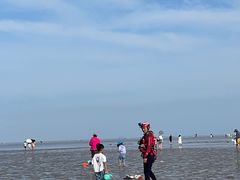 -南汇嘴观海公园