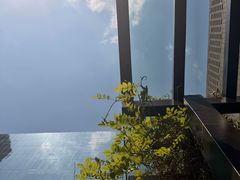 -Tivano意大利餐厅(成都居舍酒店)