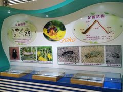 -上海昆虫博物馆