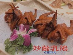 石岐乳鸽-轩记海鲜餐厅·四十五年老字号·经典粤菜(西区彩虹店)