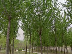 -东郊湿地公园