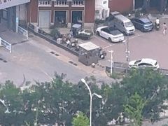 -大家乐东北菜(富河园店)