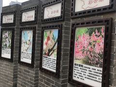 -重庆彩云湖湿地公园