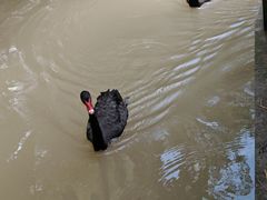 -水濂山森林公园