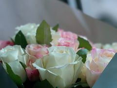 -九鼎轩脆毛肚火锅(颛桥万达店)