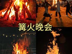 -栖露营camping·天幕烧烤·团建拓展·采摘营地