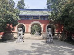 -灵谷景区