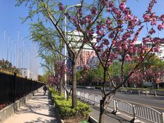 -永乐路-路侧停车场