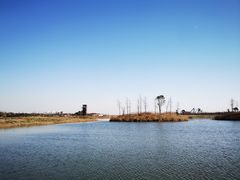 -春花秋色城市公园