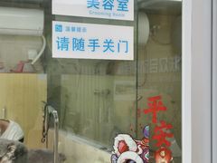 -美联众合爱康动物医院•复杂内科•肿瘤科•牙科•腔镜诊疗中心