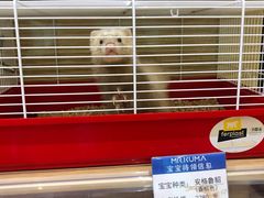 -Mr·Kuma酷么先生雪之乐园