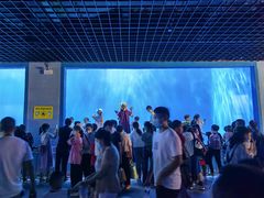 -多彩贵州城极地海洋世界