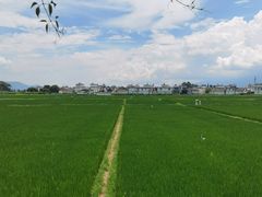 -喜林苑·稻田餐厅(品相府店)