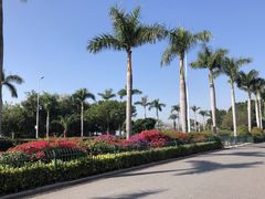 -黄金海岸环岛路