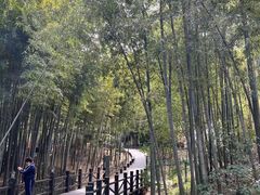-树山生态村