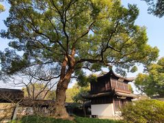 -惠山古镇·寄畅园