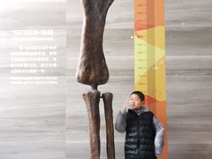 -中华赏石园