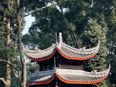 -峨眉山报国寺