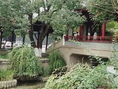-龙潭水乡