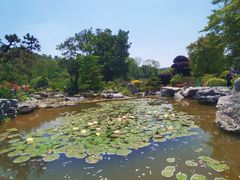 -东莞植物园