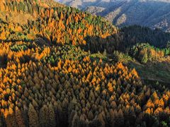 -山王坪喀斯特国家生态公园
