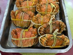 -渔娘蟹庄(阳澄湖莲花岛店)