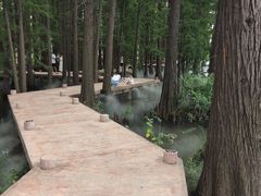 -东湖落雁景区