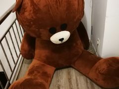 -顽啤熊·酒客酒馆(苏城夜景必选店)