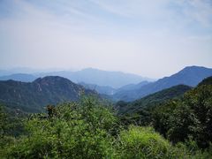 -大岭沟猕猴桃谷风景区